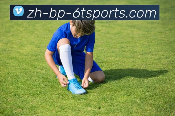 6T体育服务体系